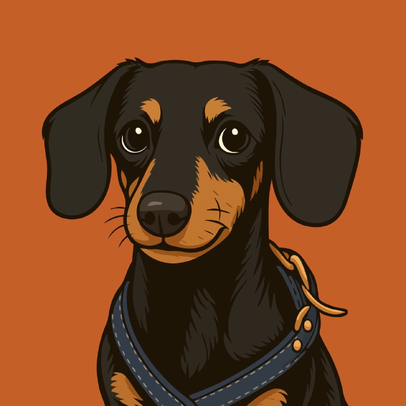 Crusoe the Dachshund